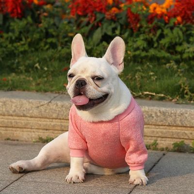 Camisetas de perro de punto de poliéster Suéteres para perros pequeños Vestidos de lujo Tipo de accesorio