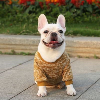 Comodidad Sostenible Mascota Perro Gato Camisetas Vestidos Accesorios Tipo de suéteres Suéteres