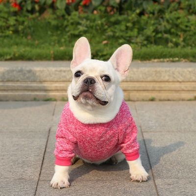 Comodidad Sostenible Mascota Perro Gato Camisetas Vestidos Accesorios Tipo de suéteres Suéteres