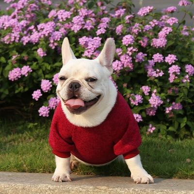 Comodidad Sostenible Mascota Perro Gato Camisetas Vestidos Accesorios Tipo de suéteres Suéteres