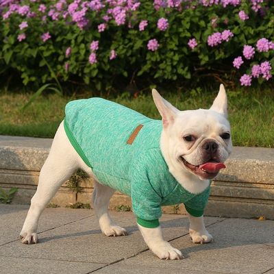 XS-XXL Accesorios de diferentes colores Ropa moderna para perros XS-XXL