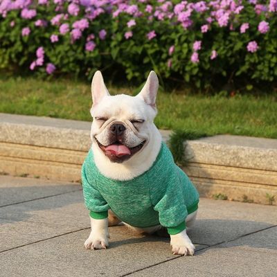 Ropa de cachorro de punto Material de poliéster de patrón sólido para su compañero de cuatro patas