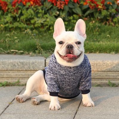 Ropa para perros de invierno a prueba de viento y cálida para perros pequeños
