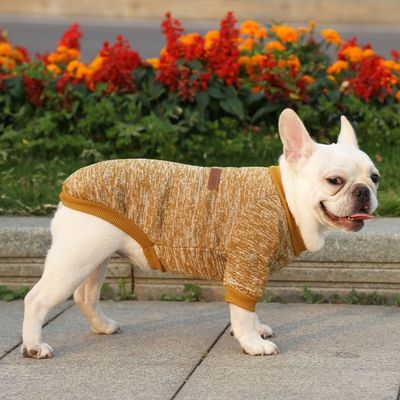 Ropa para perros de invierno a prueba de viento y cálida para perros pequeños