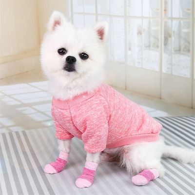 Manténgase a la moda y cómodo con estos calcetines rosa / azul para perros de invierno