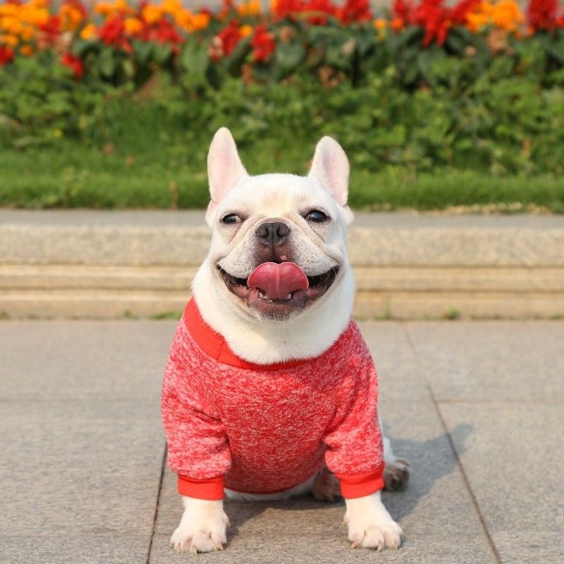 Camisetas de perro de punto de poliéster Suéteres para perros pequeños Vestidos de lujo Tipo de accesorio