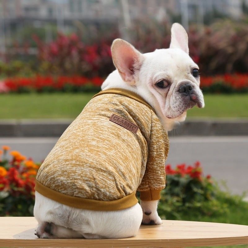 Comodidad Sostenible Mascota Perro Gato Camisetas Vestidos Accesorios Tipo de suéteres Suéteres