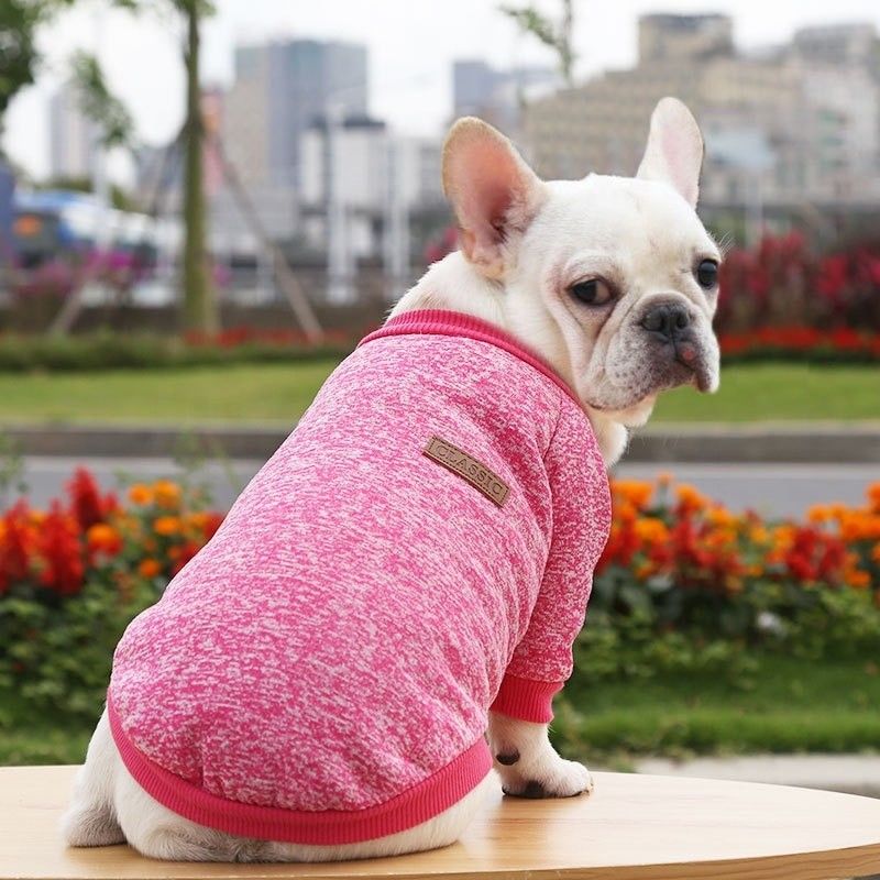 XS-XXL Accesorios de diferentes colores Ropa moderna para perros XS-XXL