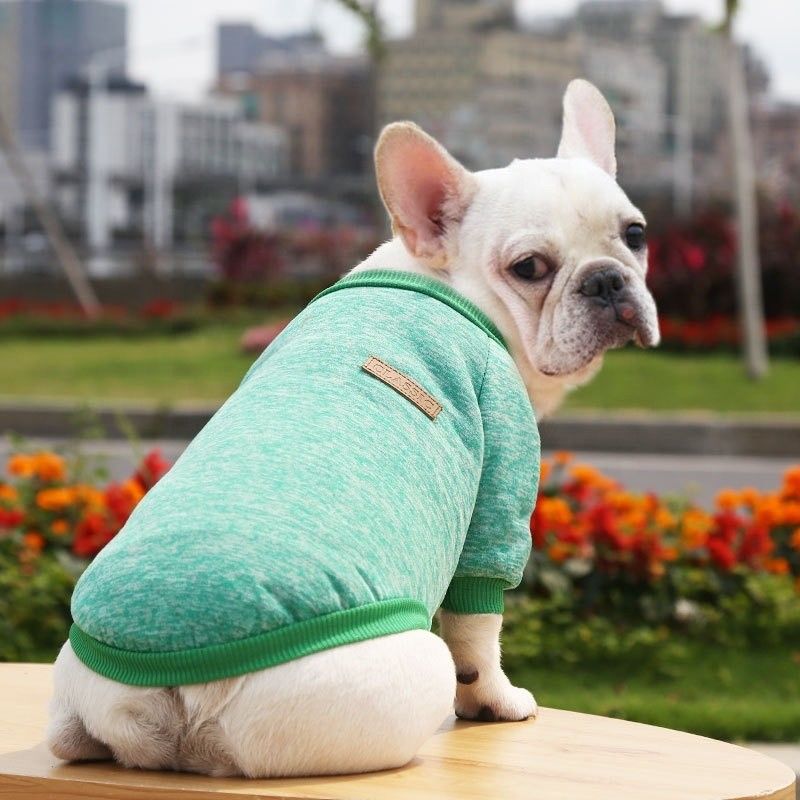 XS-XXL Color sólido Impreso suéter de perro de punto Invierno cálido Ropa de lujo para mascotas para exteriores