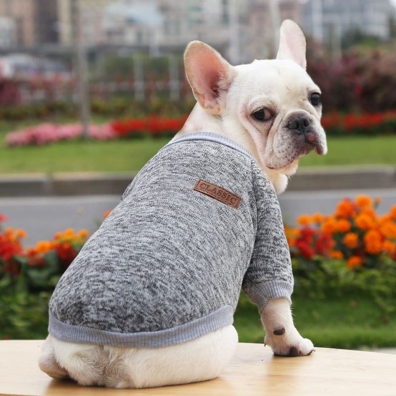 Ropa para perros de invierno a prueba de viento y cálida para perros pequeños