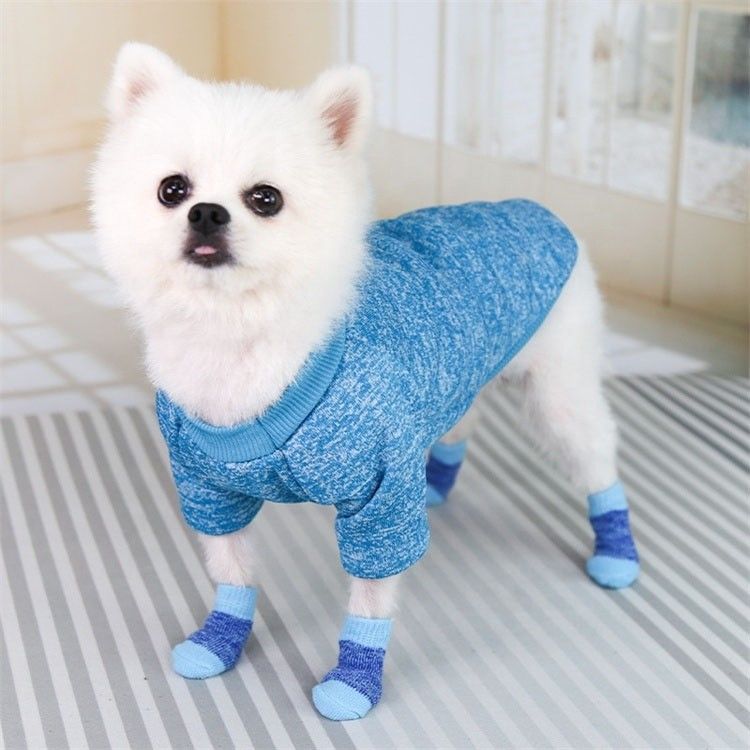 Manténgase a la moda y cómodo con estos calcetines rosa / azul para perros de invierno